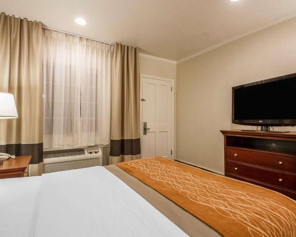 Blu Pacific Hotel image 3